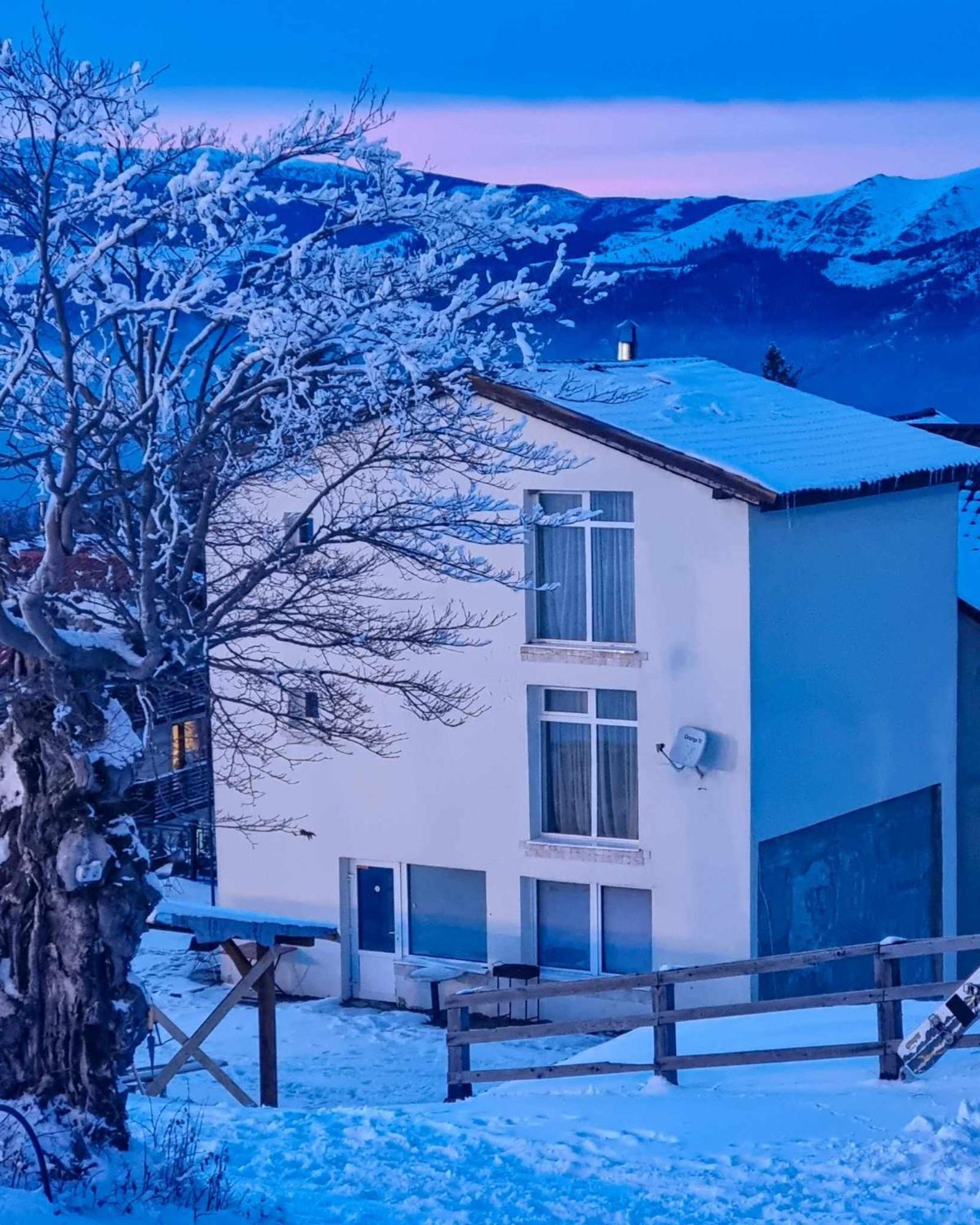 Pensiunea Sky Lupeni  Exterior photo